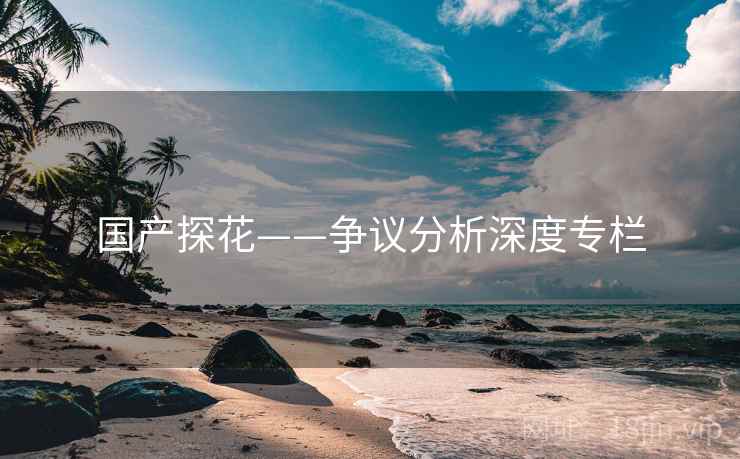 国产探花——争议分析深度专栏