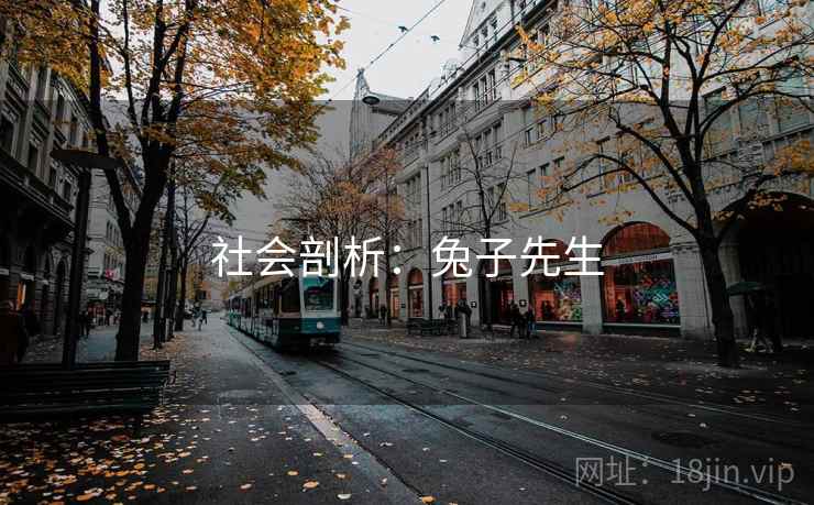 社会剖析：兔子先生