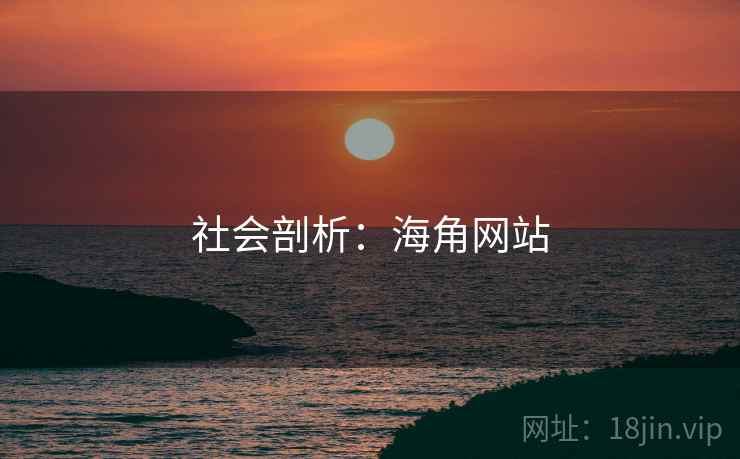 社会剖析：海角网站