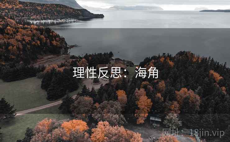 理性反思：海角