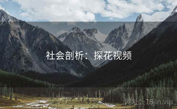 社会剖析:探花视频 社会剖析:探花视频