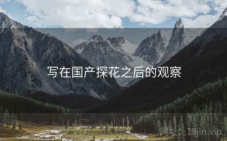写在国产探花之后的观察