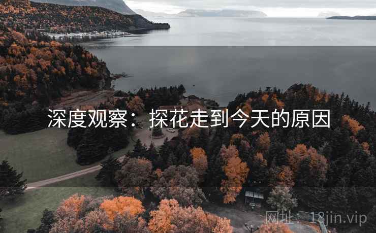 深度观察：探花走到今天的原因