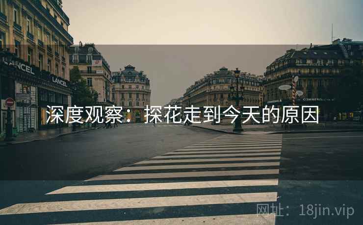 深度观察：探花走到今天的原因