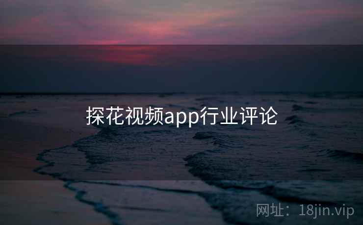 探花视频app行业评论