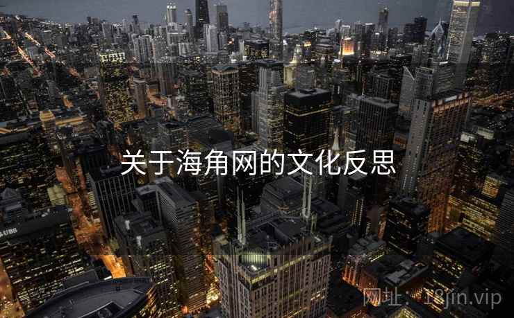 关于海角网的文化反思