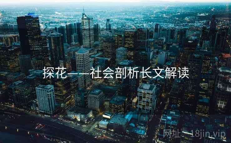 探花——社会剖析长文解读