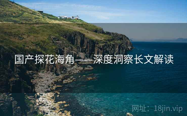 国产探花海角——深度洞察长文解读 国产探花海角——深度洞察长文解读