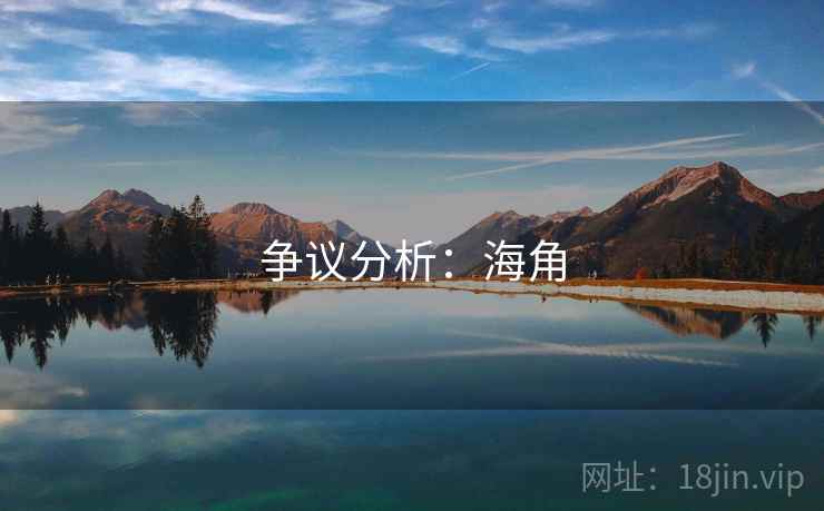 争议分析：海角
