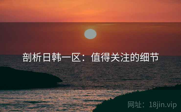 剖析日韩一区：值得关注的细节