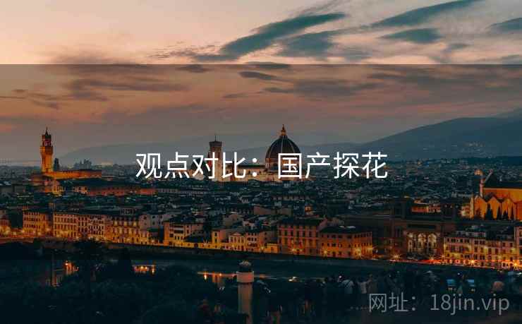 观点对比：国产探花