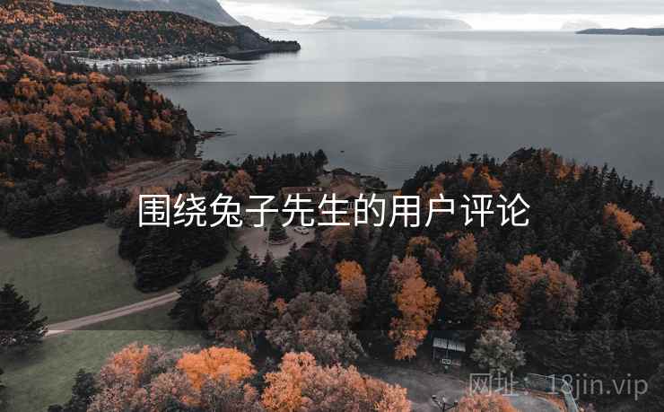 围绕兔子先生的用户评论