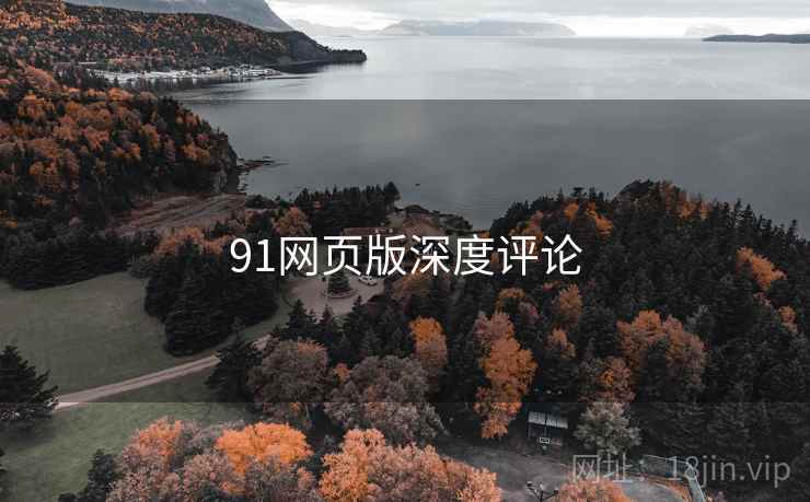 91网页版深度评论