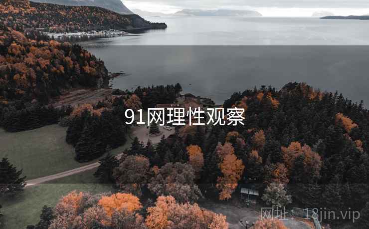 91网理性观察