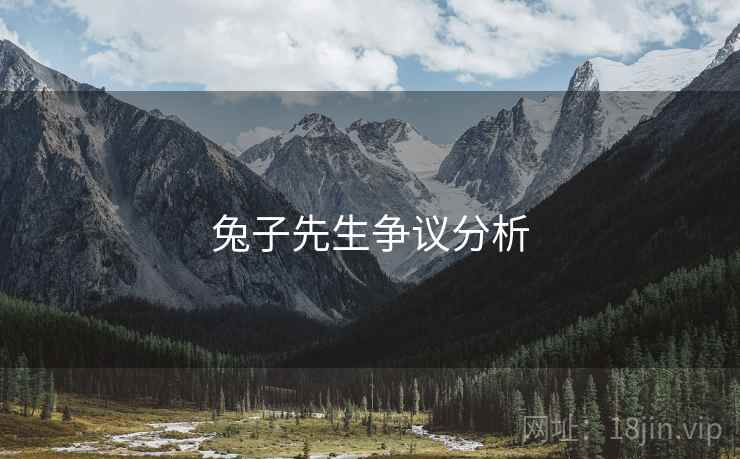 兔子先生争议分析