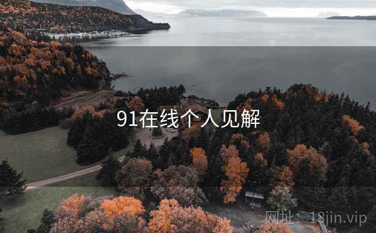 91在线个人见解