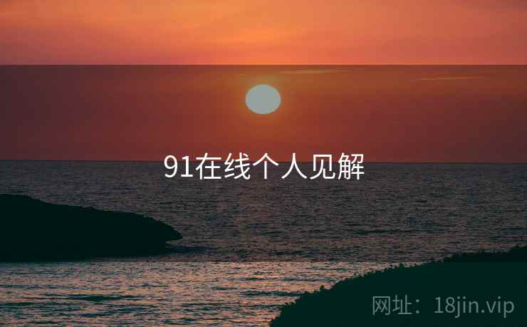 91在线个人见解