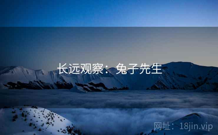 长远观察：兔子先生