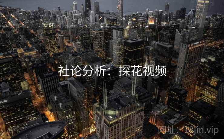 社论分析：探花视频