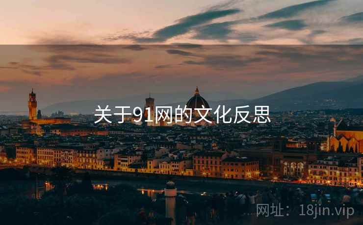 关于91网的文化反思