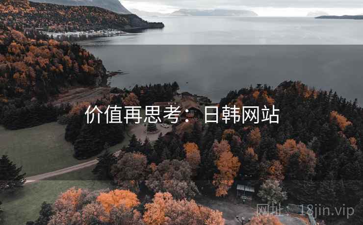 价值再思考：日韩网站