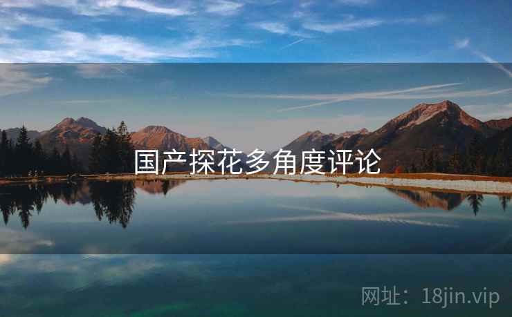 国产探花多角度评论