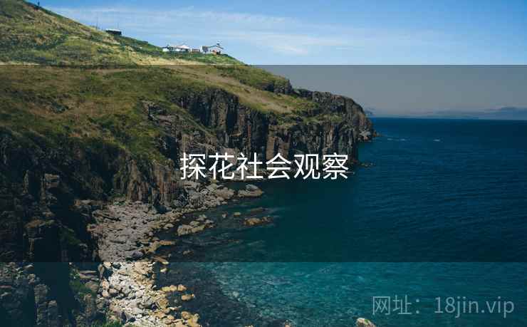 探花社会观察