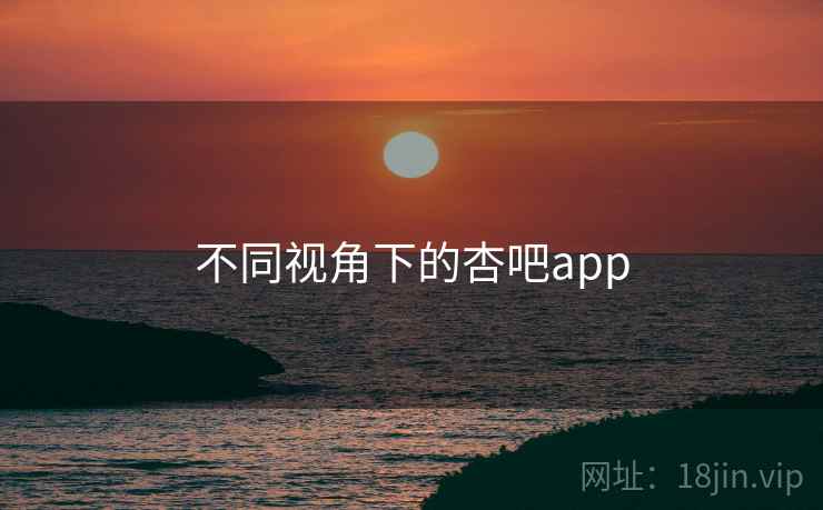 不同视角下的杏吧app