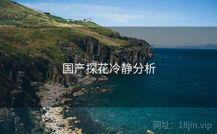 国产探花冷静分析