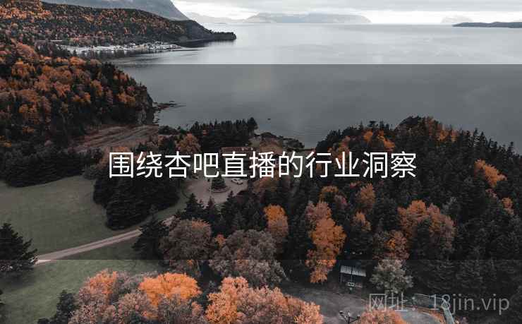 围绕杏吧直播的行业洞察