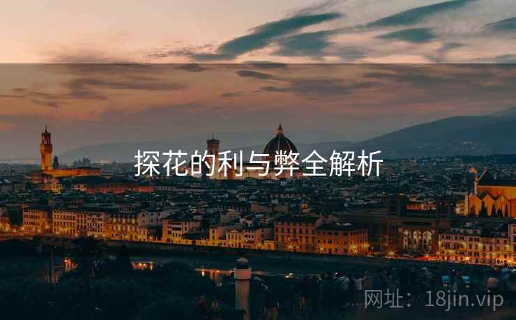 探花的利与弊全解析