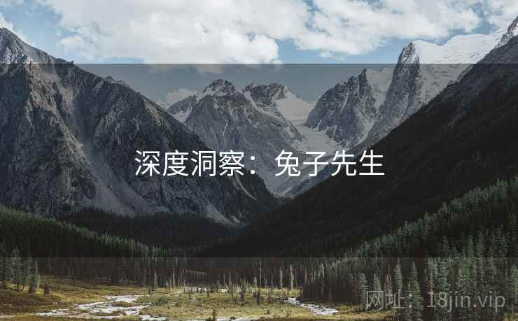 深度洞察：兔子先生